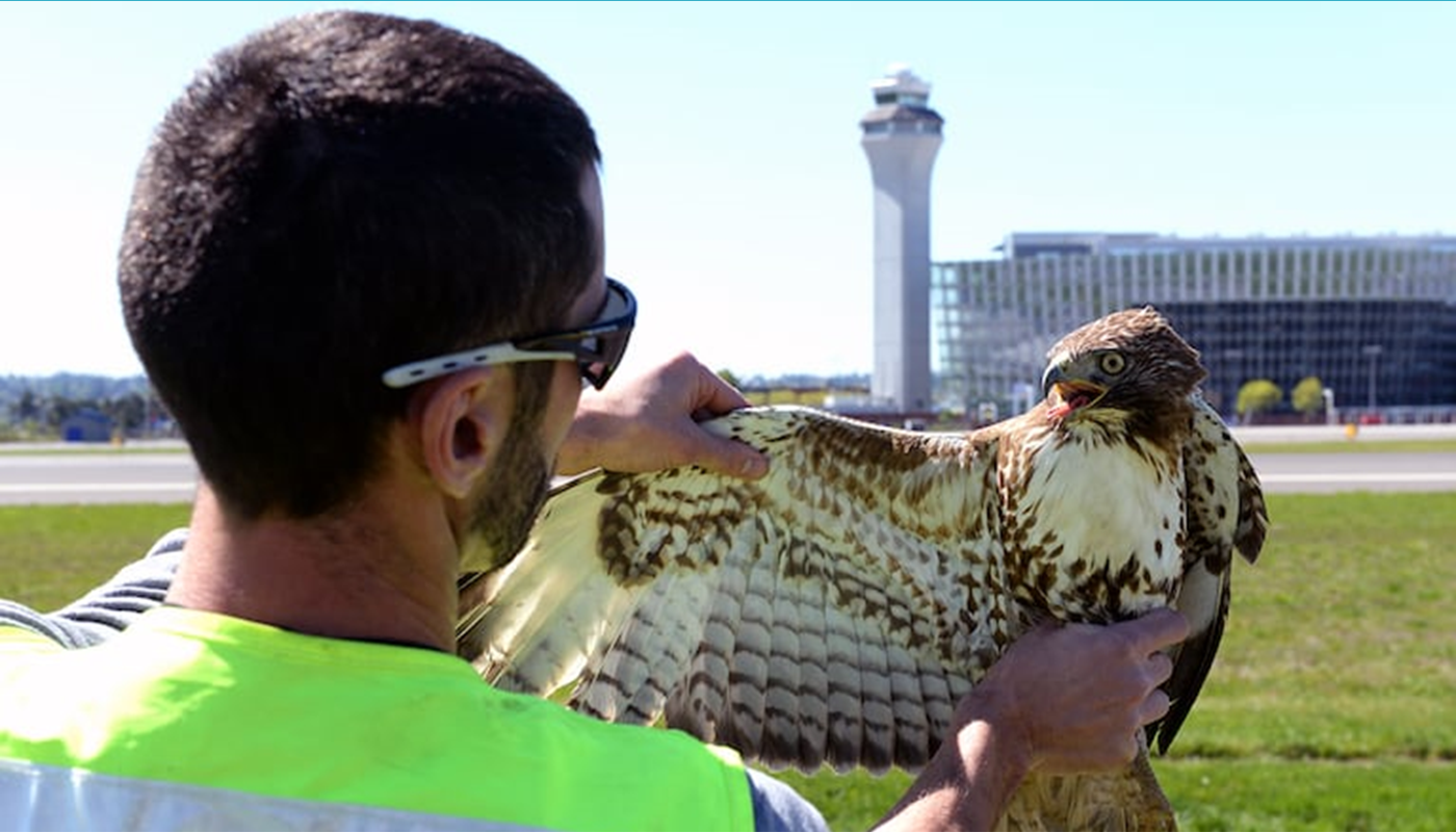 OPB's "At Work With" Rides Along with PDX Wildlife's Nick Atwell
