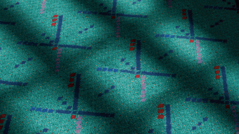 How the PDX Brand Came to Life