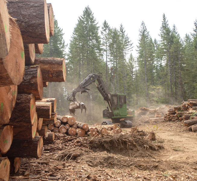 bulldozer with cut wood in forest