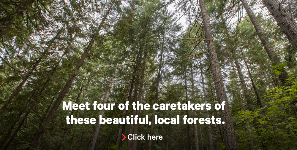 Meet four of the caretakers of these beautiful, local forests. Click on the image.