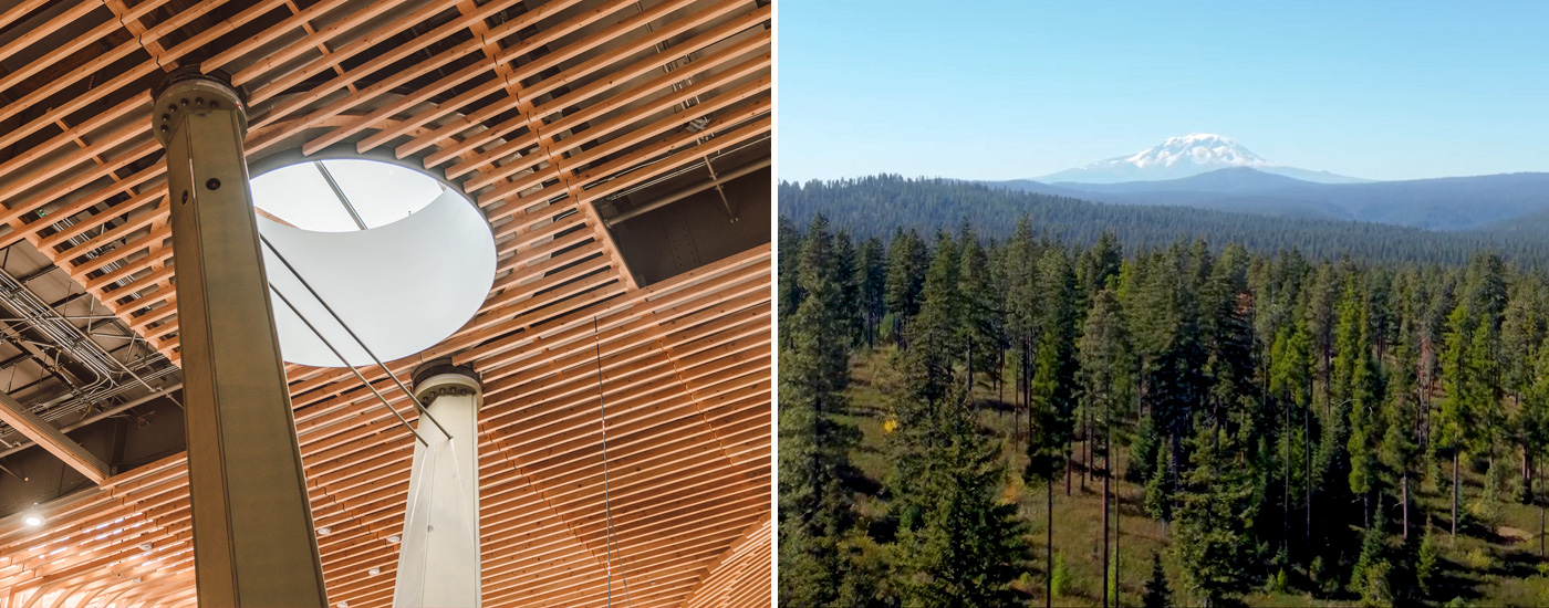 roof wood and forest