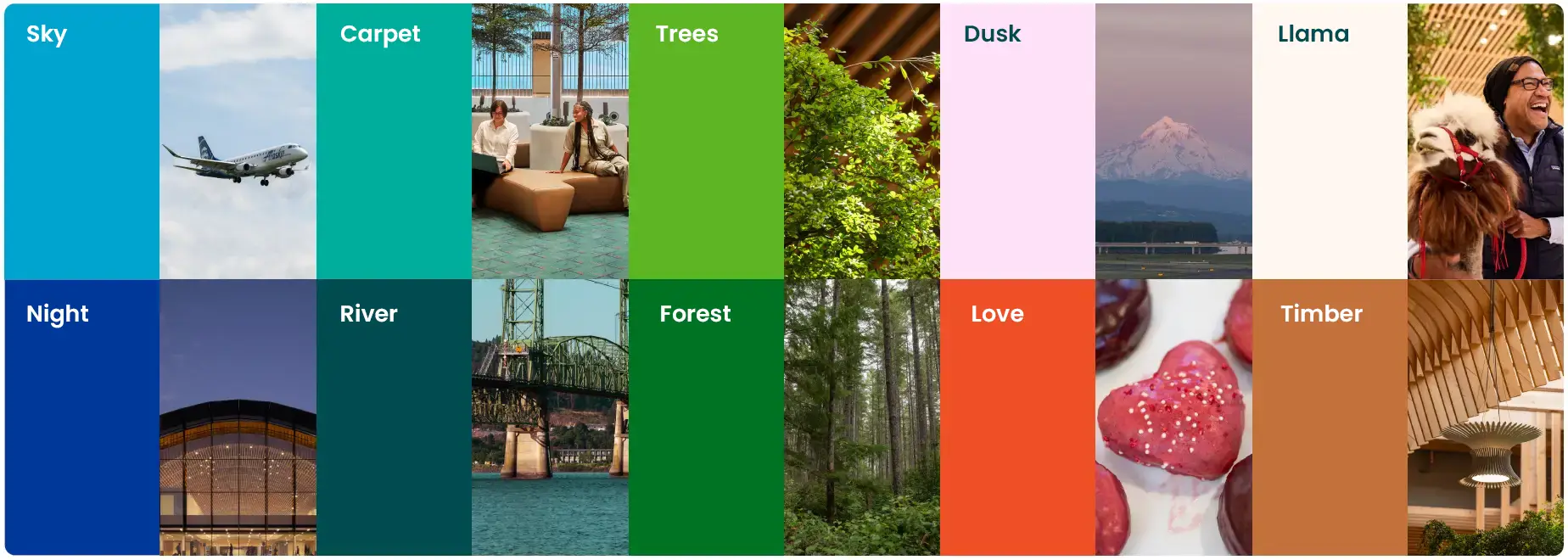 sky carpet trees dusk llama night river forest love timber colors inspired by photos from around the airport