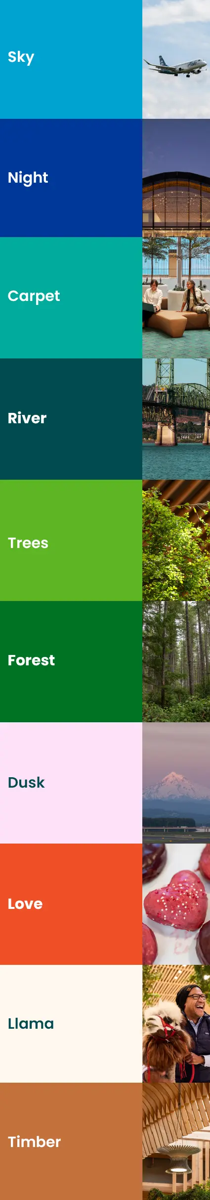 sky carpet trees dusk llama night river forest love timber colors inspired by photos from around the airport