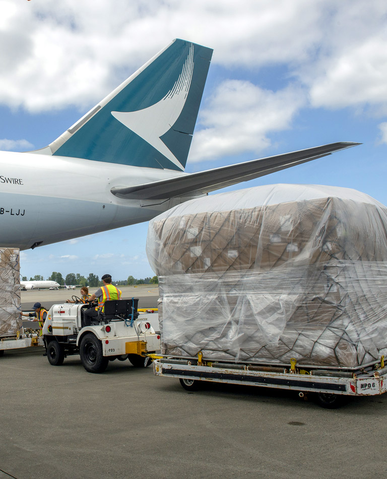interior perspective of cargo plane with workers ready to accept load