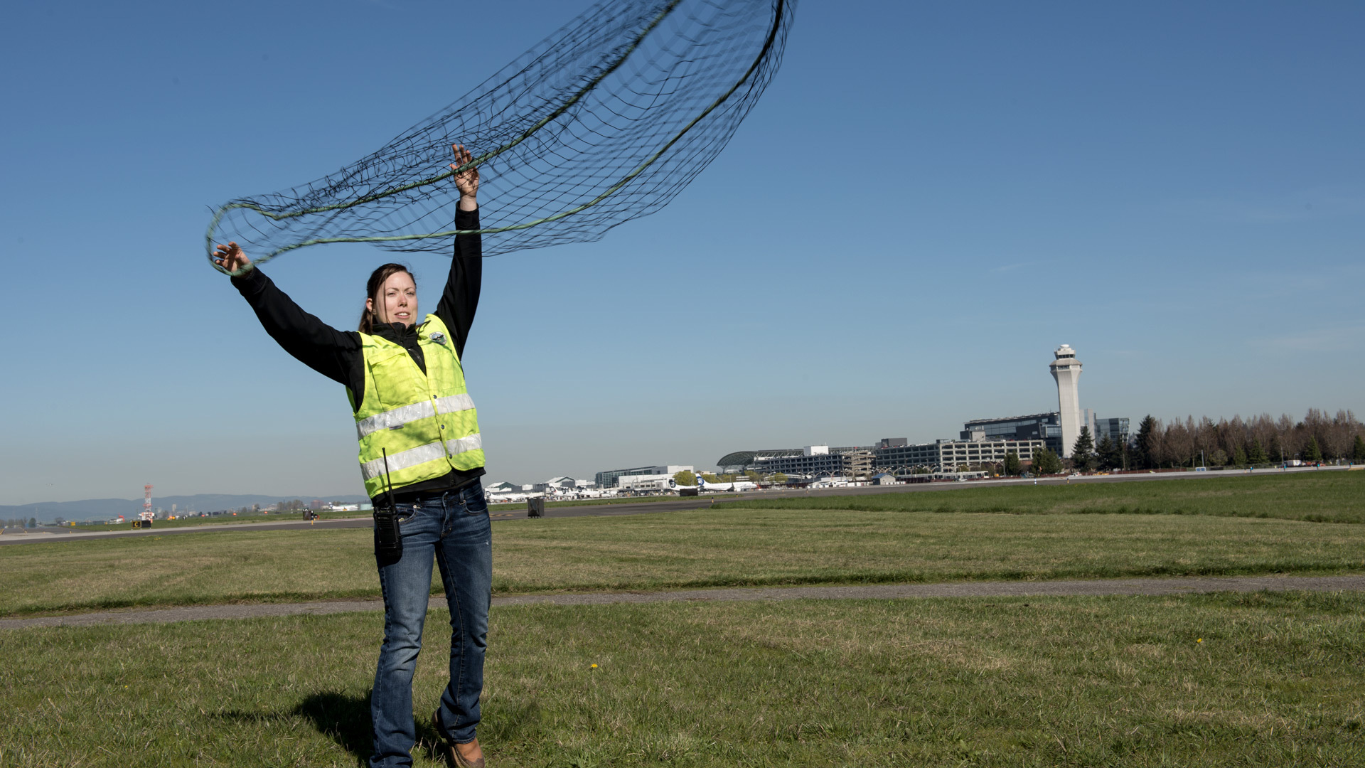 a wildlife management employee throws a net
