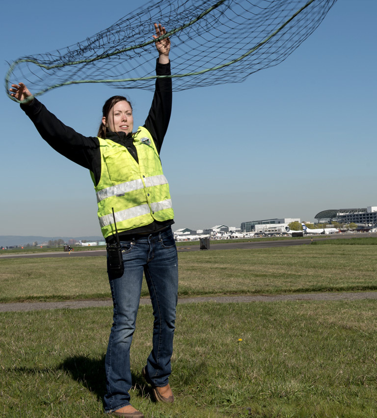 a wildlife management employee throws a net