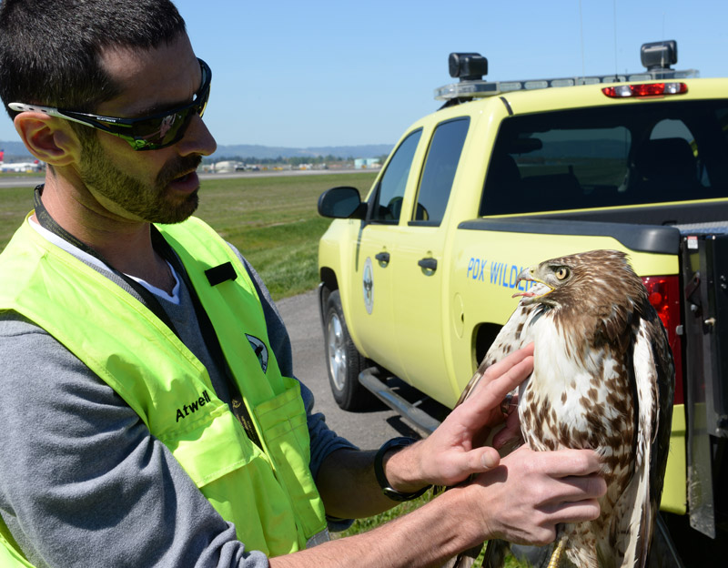 Port of Portland - Environmental - Wildlife Management