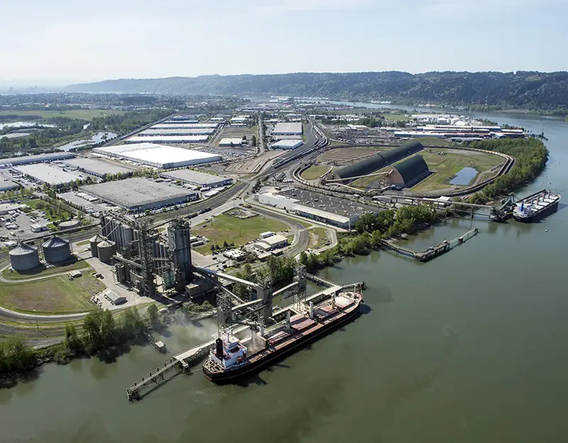 Vessel at grain area of Terminal 5