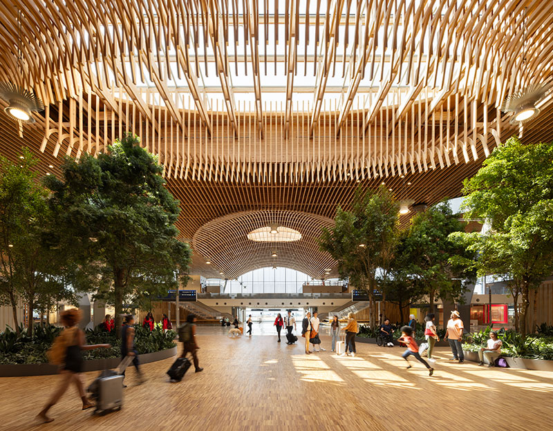 new PDX main terminal with mass timber roof and live trees
