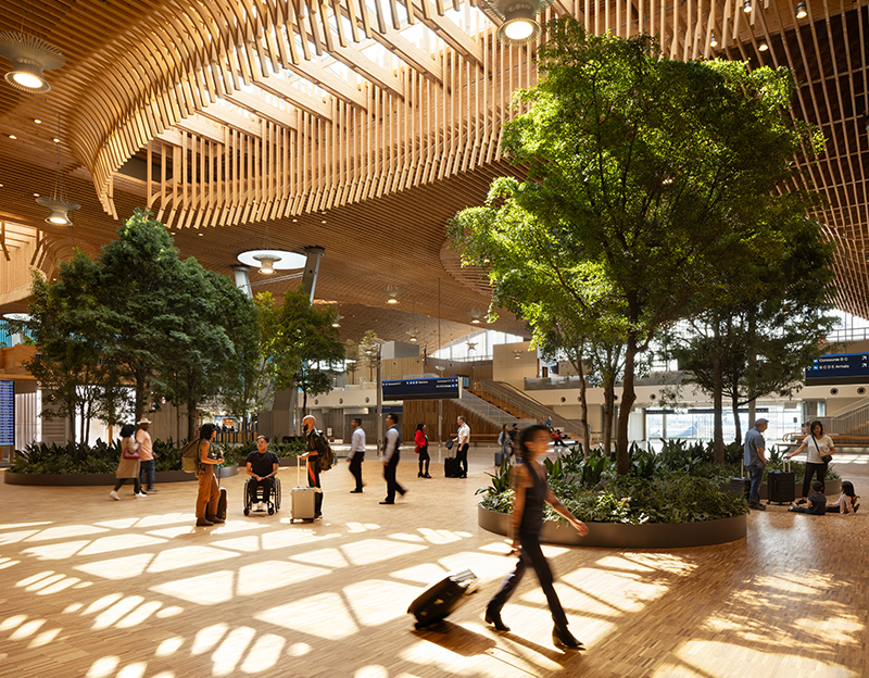 new main terminal with mass timber roof and live trees