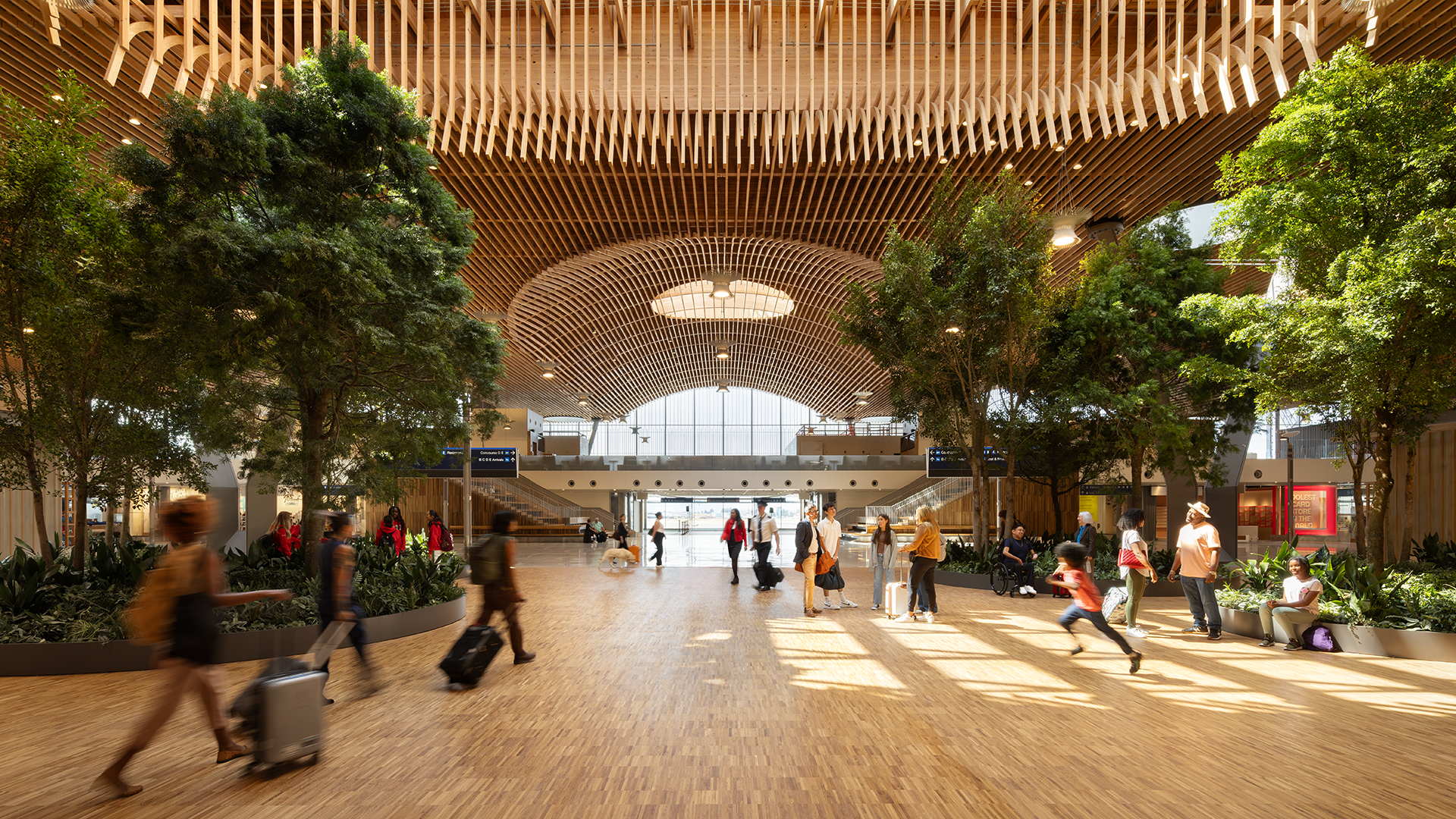 center of new main terminal with mass timber roof
