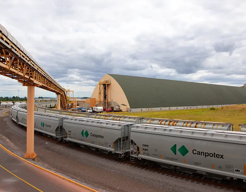 Canpotex railcars moving through the storage processing area