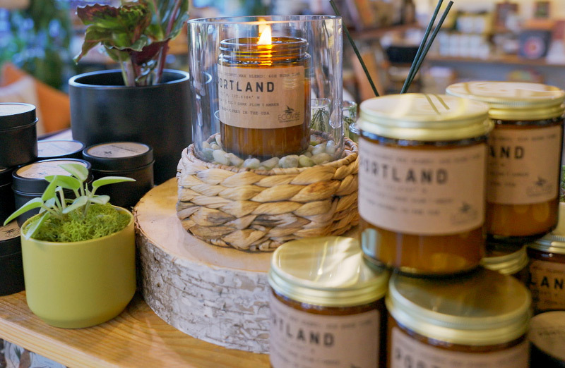 Small potted indoor plants in a row