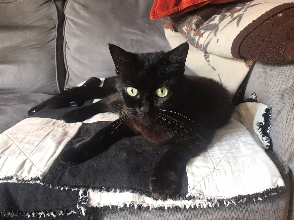 [testing AGAIN!] This is my really cool story about Ula